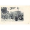Rare collectable postcards of Singapore. Vintage Postcards of Singapore