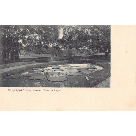 Rare collectable postcards of Singapore. Vintage Postcards of Singapore