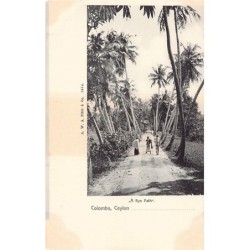 Rare collectable postcards of Sri Lanka (Ceylon). Vintage Postcards of Sri Lanka (Ceylon)