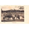 Rare collectable postcards of Sri Lanka (Ceylon). Vintage Postcards of Sri Lanka (Ceylon)