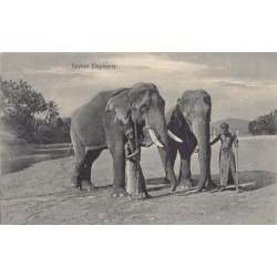 Rare collectable postcards of Sri Lanka (Ceylon). Vintage Postcards of Sri Lanka (Ceylon)
