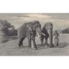 Rare collectable postcards of Sri Lanka (Ceylon). Vintage Postcards of Sri Lanka (Ceylon)