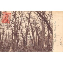 Rare collectable postcards of Argentina. Vintage Postcards of Argentina