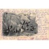 Rare collectable postcards of ROMANIA. Vintage Postcards of ROMANIA