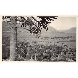 Rare collectable postcards of Argentina. Vintage Postcards of Argentina