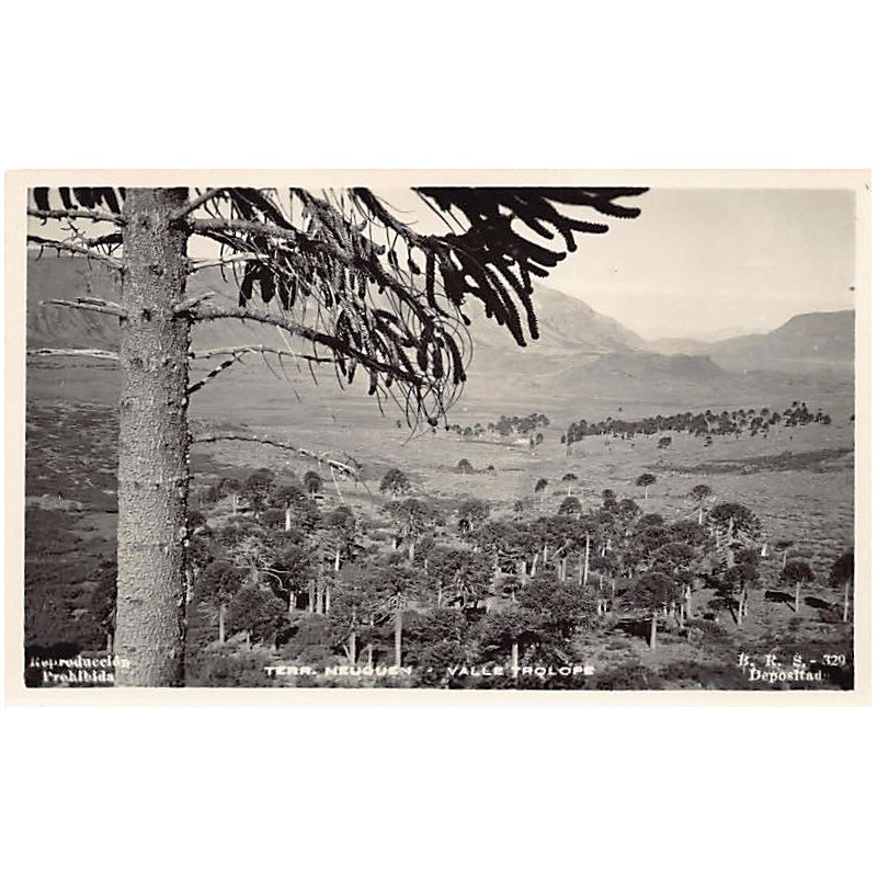 Rare collectable postcards of Argentina. Vintage Postcards of Argentina