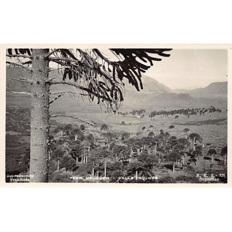 Rare collectable postcards of Argentina. Vintage Postcards of Argentina