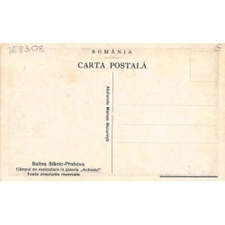Rare collectable postcards of ROMANIA. Vintage Postcards of ROMANIA