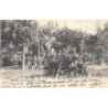 Rare collectable postcards of Brazil. Vintage Postcards of Brazil
