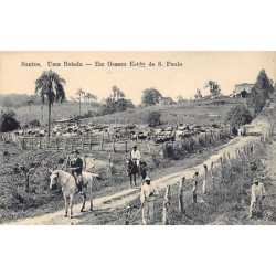 Rare collectable postcards of Brazil. Vintage Postcards of Brazil