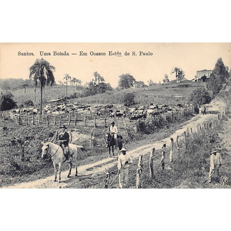 Rare collectable postcards of Brazil. Vintage Postcards of Brazil
