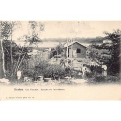Rare collectable postcards of Brazil. Vintage Postcards of Brazil