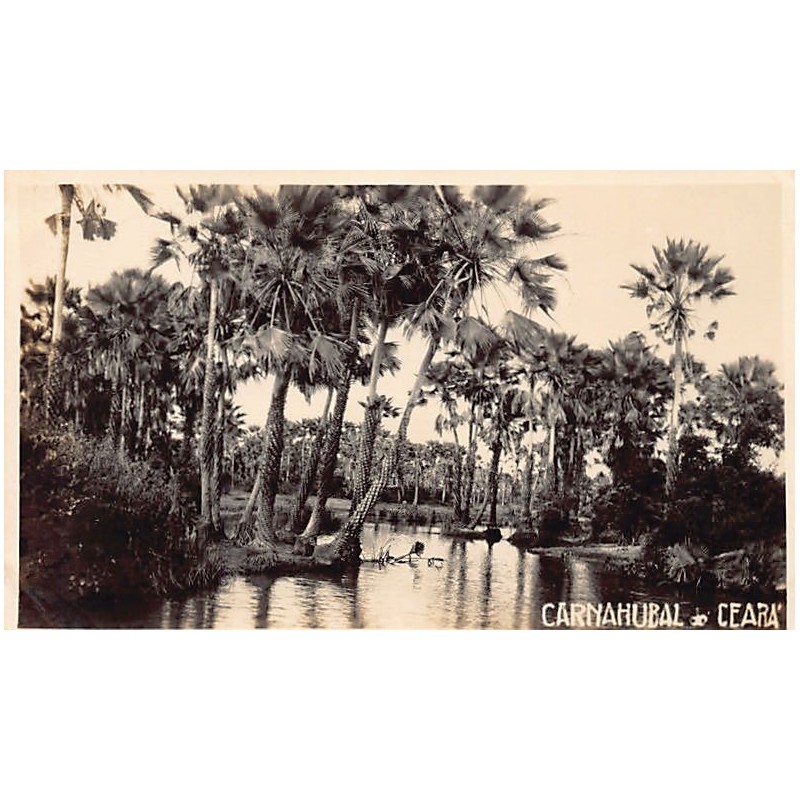 Rare collectable postcards of Brazil. Vintage Postcards of Brazil