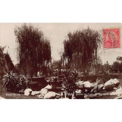Rare collectable postcards of Brazil. Vintage Postcards of Brazil