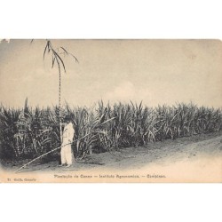 Rare collectable postcards of Brazil. Vintage Postcards of Brazil
