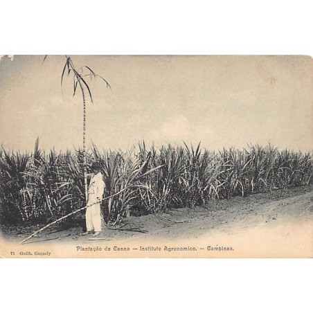Rare collectable postcards of Brazil. Vintage Postcards of Brazil