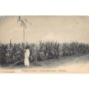 Rare collectable postcards of Brazil. Vintage Postcards of Brazil
