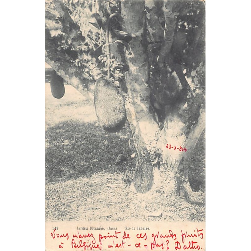 Rare collectable postcards of Brazil. Vintage Postcards of Brazil
