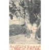 Rare collectable postcards of Brazil. Vintage Postcards of Brazil
