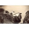 Rare collectable postcards of Mexico. Vintage Postcards of Mexico