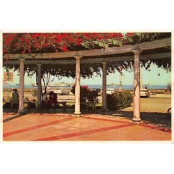 Rare collectable postcards of Peru. Vintage Postcards of Peru