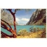 Rare collectable postcards of Peru. Vintage Postcards of Peru