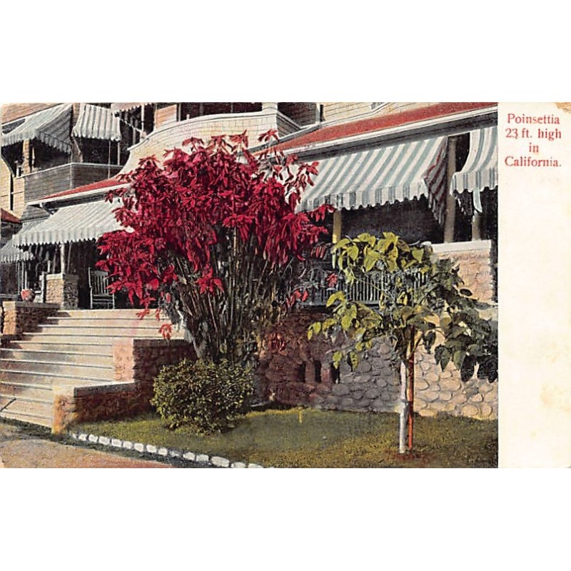 Rare collectable postcards of United States. Vintage Postcards of United States