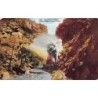 Rare collectable postcards of United States. Vintage Postcards of United States
