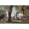 Rare collectable postcards of United States. Vintage Postcards of United States