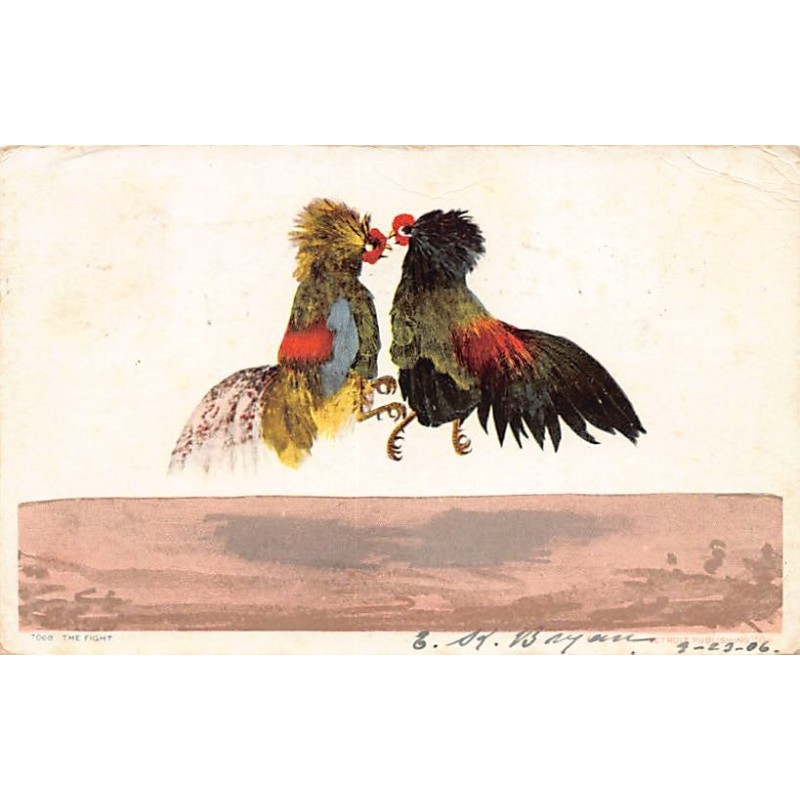 Rare collectable postcards of United States. Vintage Postcards of United States