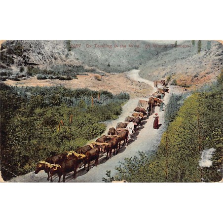 Rare collectable postcards of United States. Vintage Postcards of United States