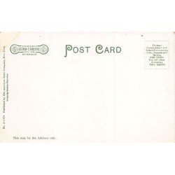 Rare collectable postcards of United States. Vintage Postcards of United States