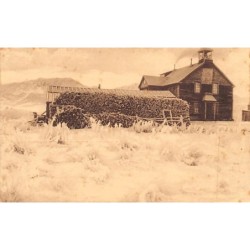 Rare collectable postcards of United States. Vintage Postcards of United States