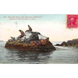Rare collectable postcards of United States. Vintage Postcards of United States