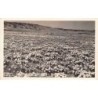 Rare collectable postcards of United States. Vintage Postcards of United States