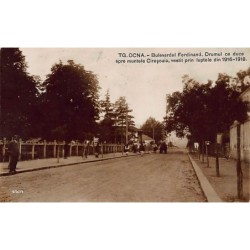 Rare collectable postcards of ROMANIA. Vintage Postcards of ROMANIA