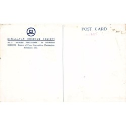 Rare collectable postcards of United States. Vintage Postcards of United States