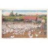Rare collectable postcards of United States. Vintage Postcards of United States