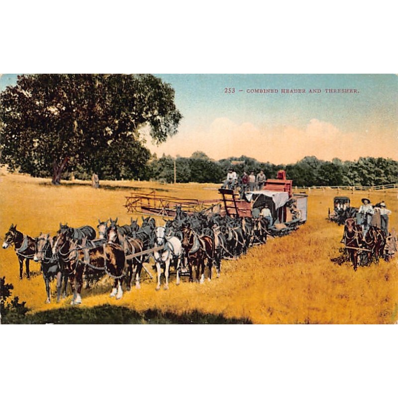 Rare collectable postcards of United States. Vintage Postcards of United States