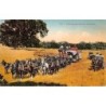 Rare collectable postcards of United States. Vintage Postcards of United States