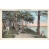 Rare collectable postcards of United States. Vintage Postcards of United States