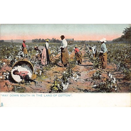 Rare collectable postcards of United States. Vintage Postcards of United States