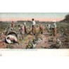 Rare collectable postcards of United States. Vintage Postcards of United States
