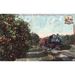 Rare collectable postcards of United States. Vintage Postcards of United States