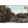Rare collectable postcards of United States. Vintage Postcards of United States