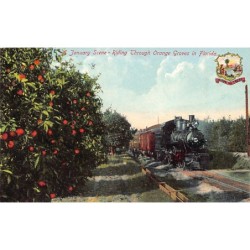 Rare collectable postcards of United States. Vintage Postcards of United States