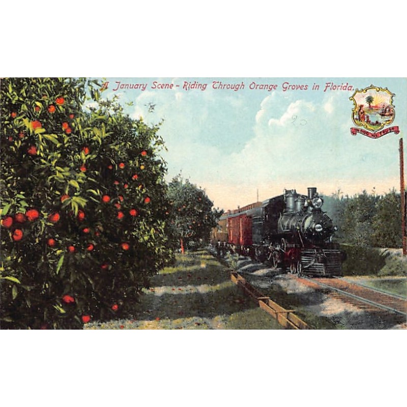 Rare collectable postcards of United States. Vintage Postcards of United States