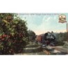 Rare collectable postcards of United States. Vintage Postcards of United States