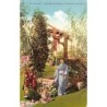 Rare collectable postcards of United States. Vintage Postcards of United States