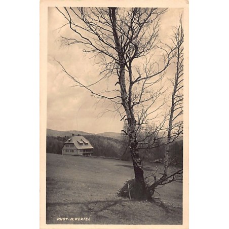 Rare collectable postcards of Austria. Vintage Postcards of Austria